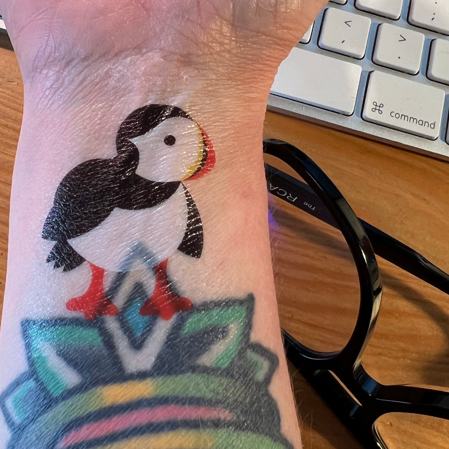 2 Temporary Tattoos: Plover and/or Puffin
