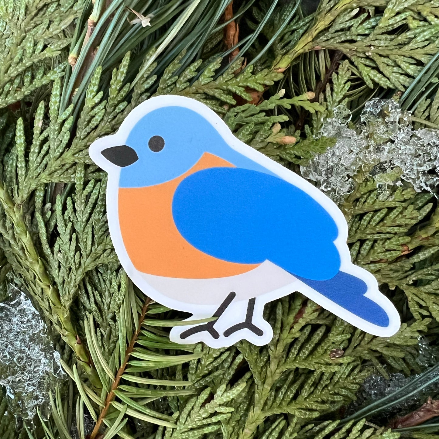 Eastern Bluebird vinyl sticker (2.5 inch)