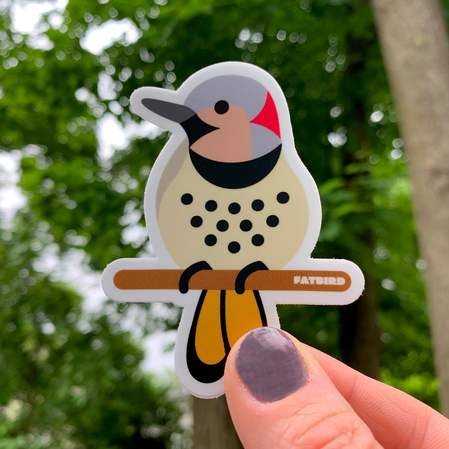 Northern Flicker vinyl sticker (3 inch)
