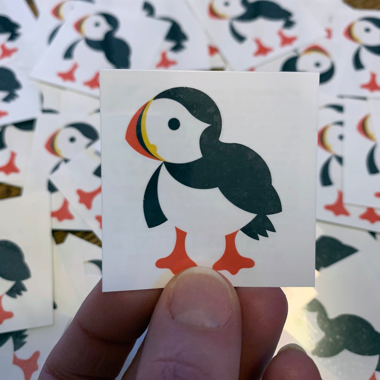 2 Temporary Tattoos: Plover and/or Puffin