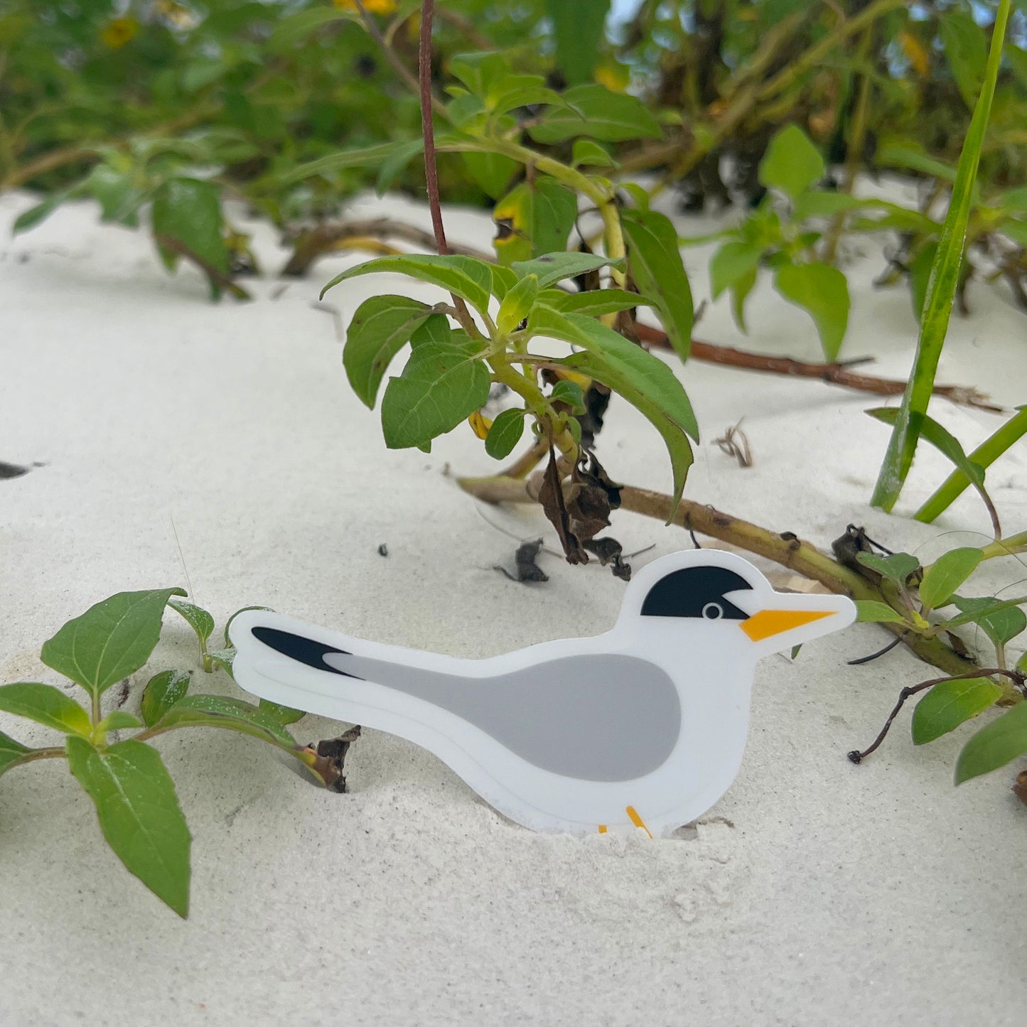 Least Tern Clear Vinyl Sticker (3.5 inches)