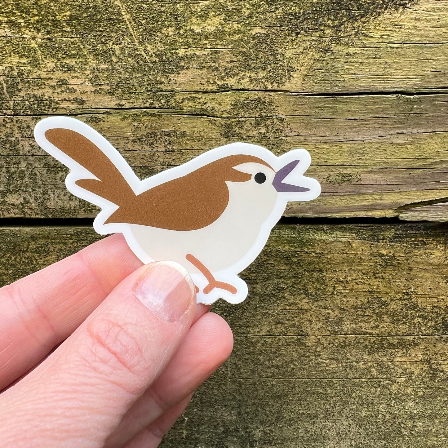 Carolina Wren vinyl sticker (3 inch)