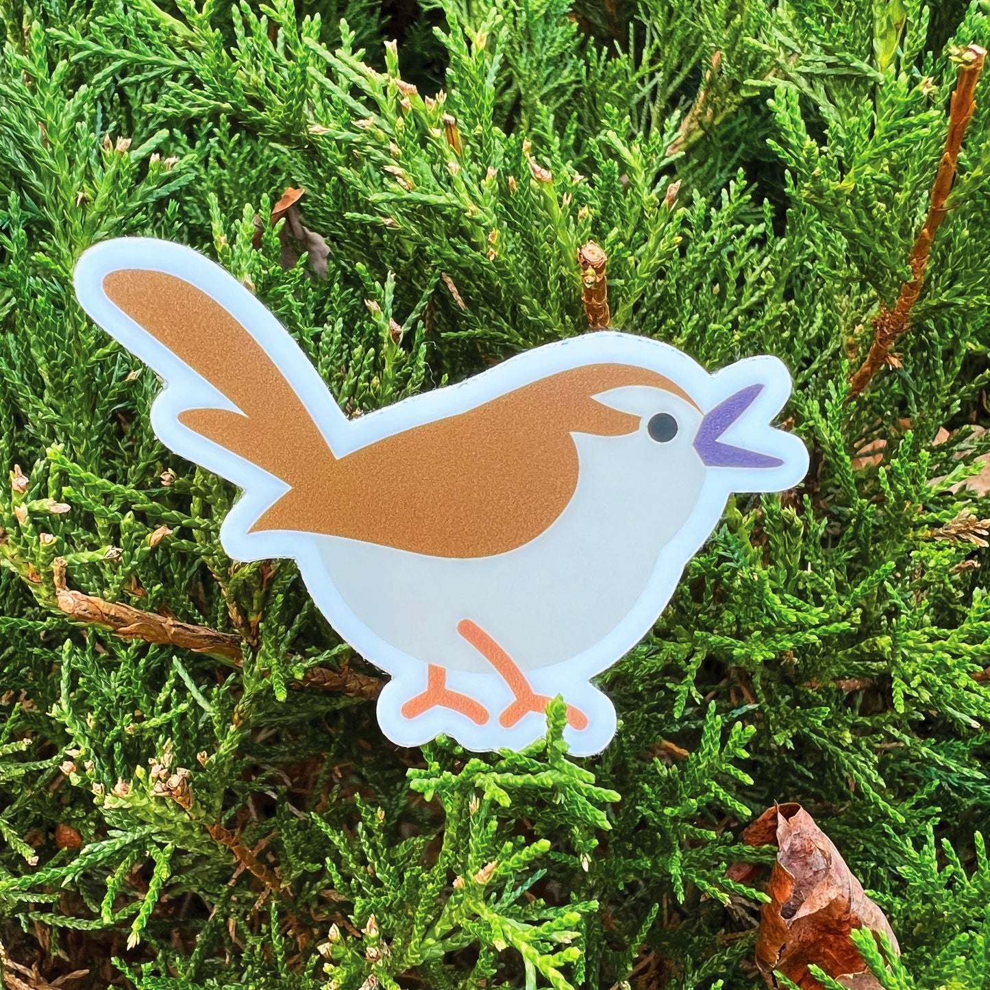 Carolina Wren vinyl sticker (3 inch)