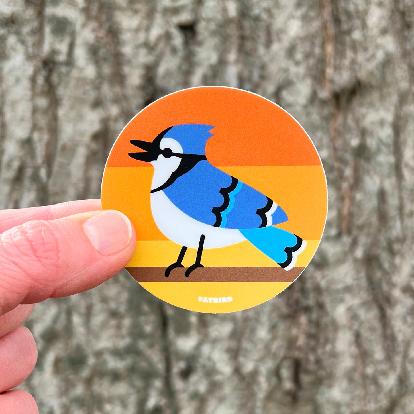 Blue Jay (singing) 2.5 inch vinyl sticker