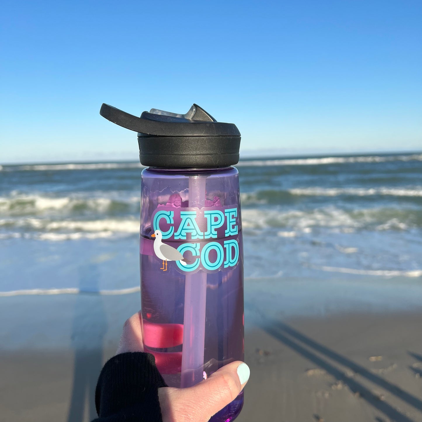 Cape Cod Seagull Clear Vinyl Sticker (3 inches)