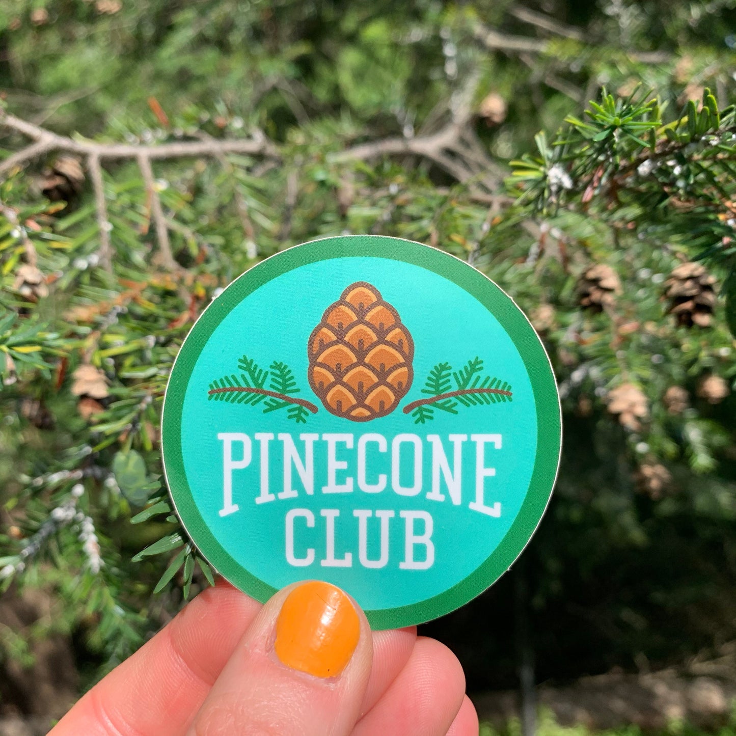 Pinecone Club 2.25-inch sticker