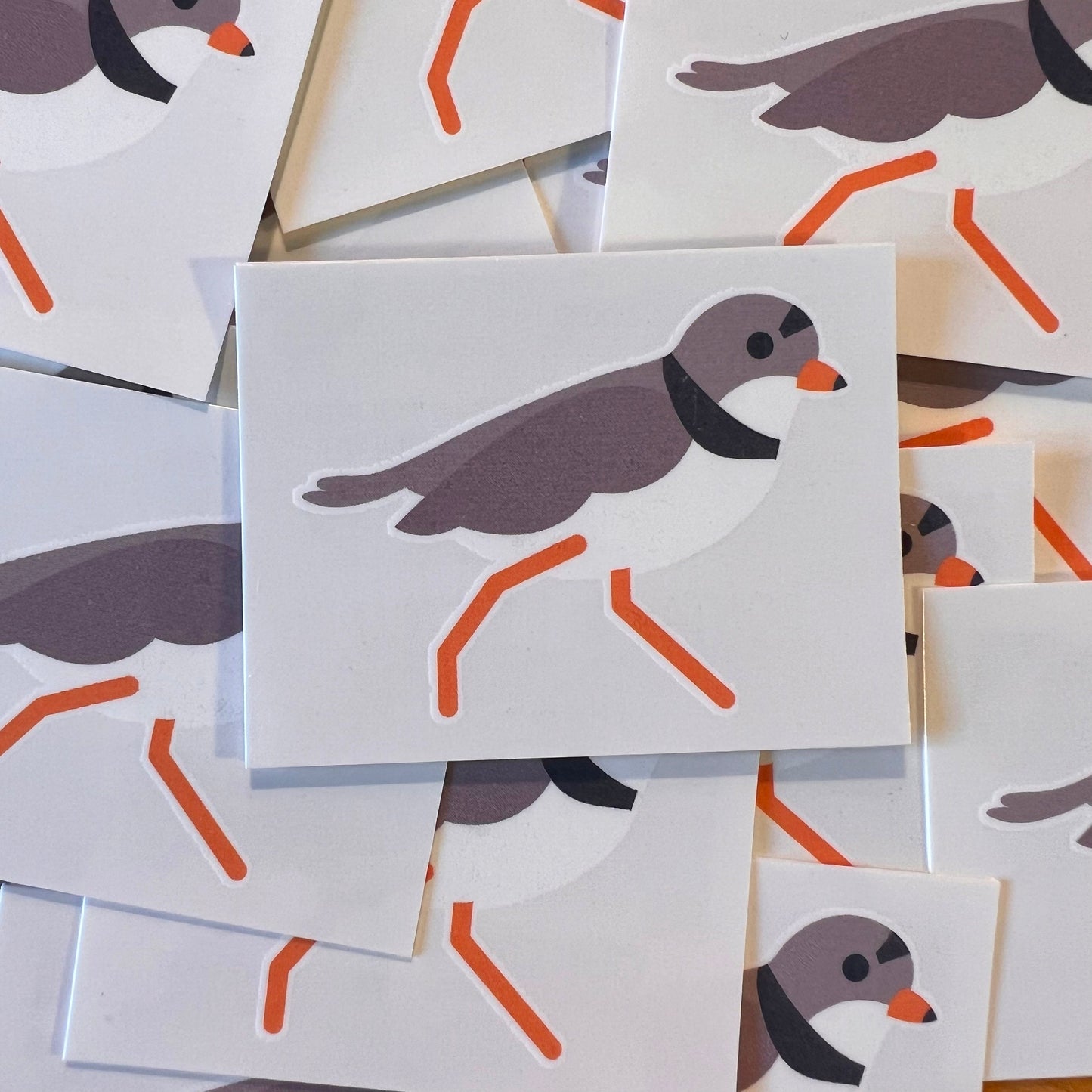 2 Temporary Tattoos: Plover and/or Puffin
