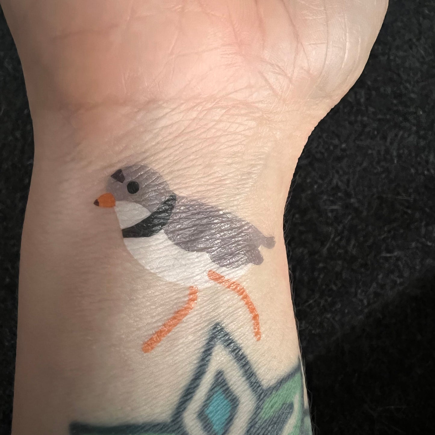 2 Temporary Tattoos: Plover and/or Puffin