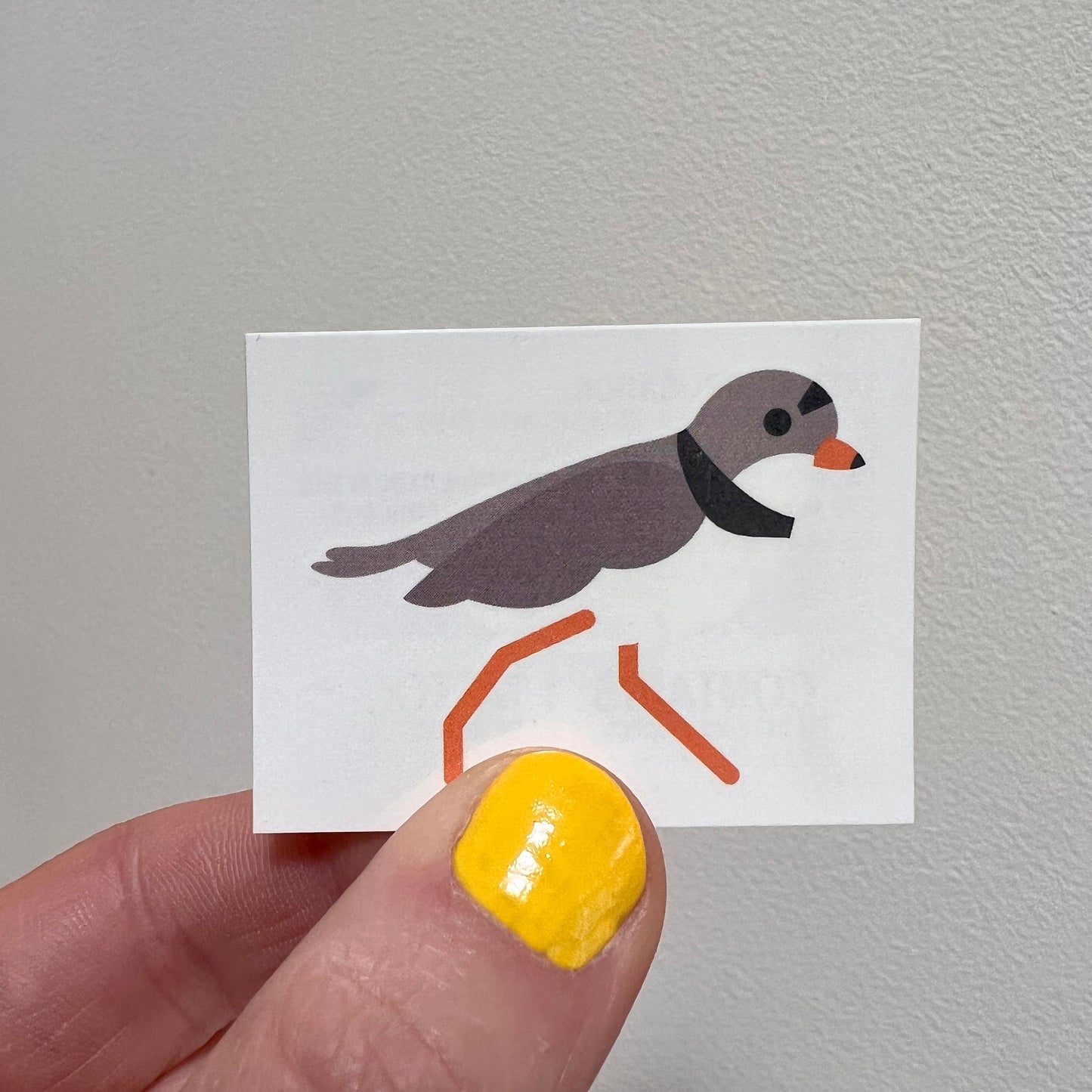 2 Temporary Tattoos: Plover and/or Puffin