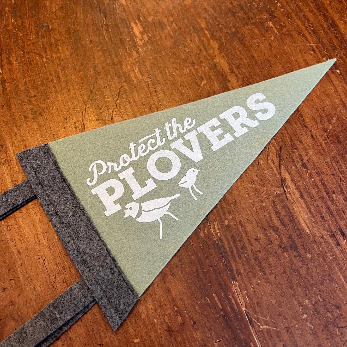 Protect the Plovers Felt Pennant - 6x12 inches
