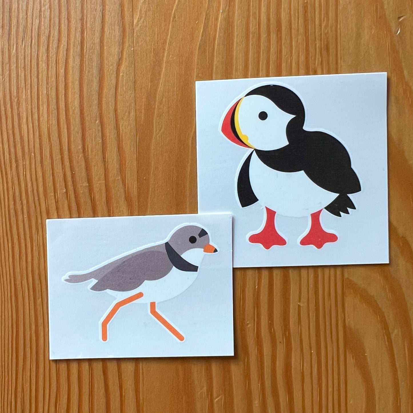 2 Temporary Tattoos: Plover and/or Puffin
