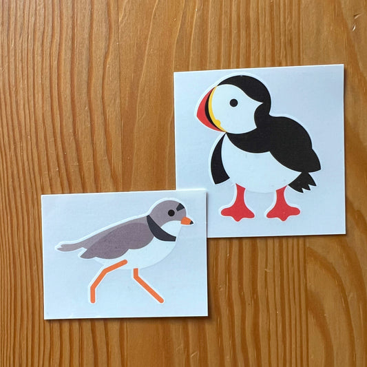 2 Temporary Tattoos: Plover and/or Puffin