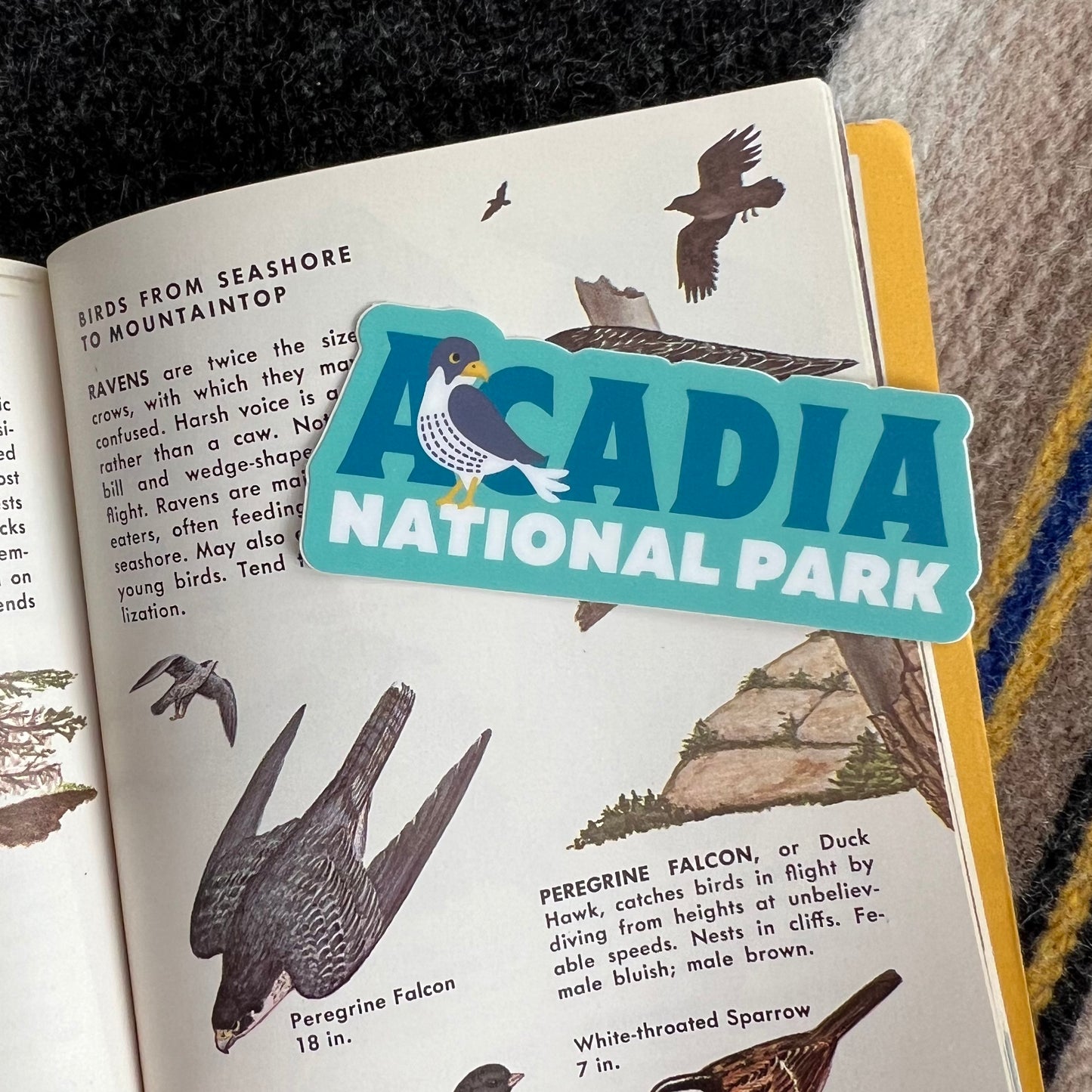 Acadia National Park Maine Peregrine Falcon Vinyl Sticker