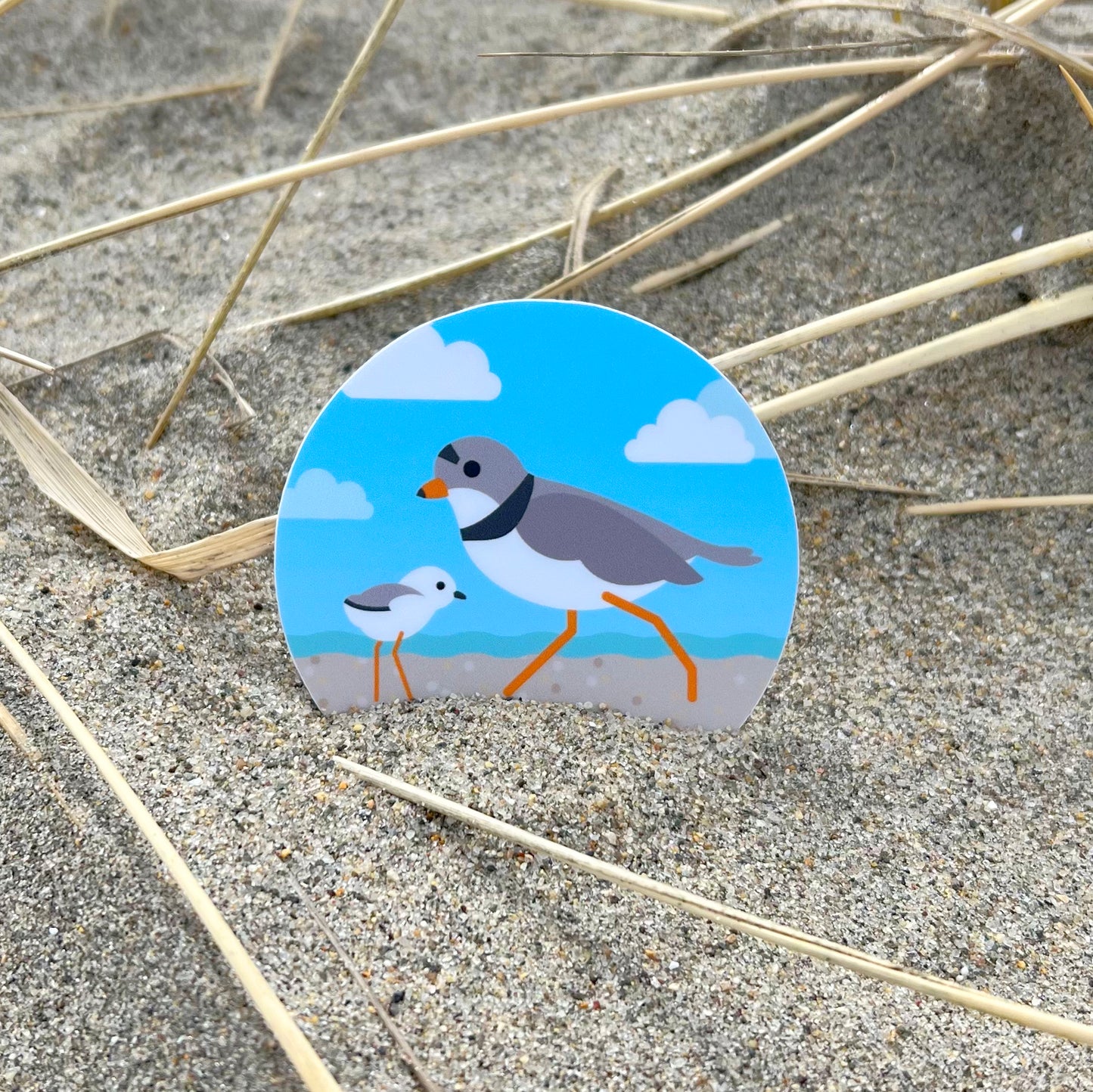 Piping Plover and Chick 2.5-inch sticker