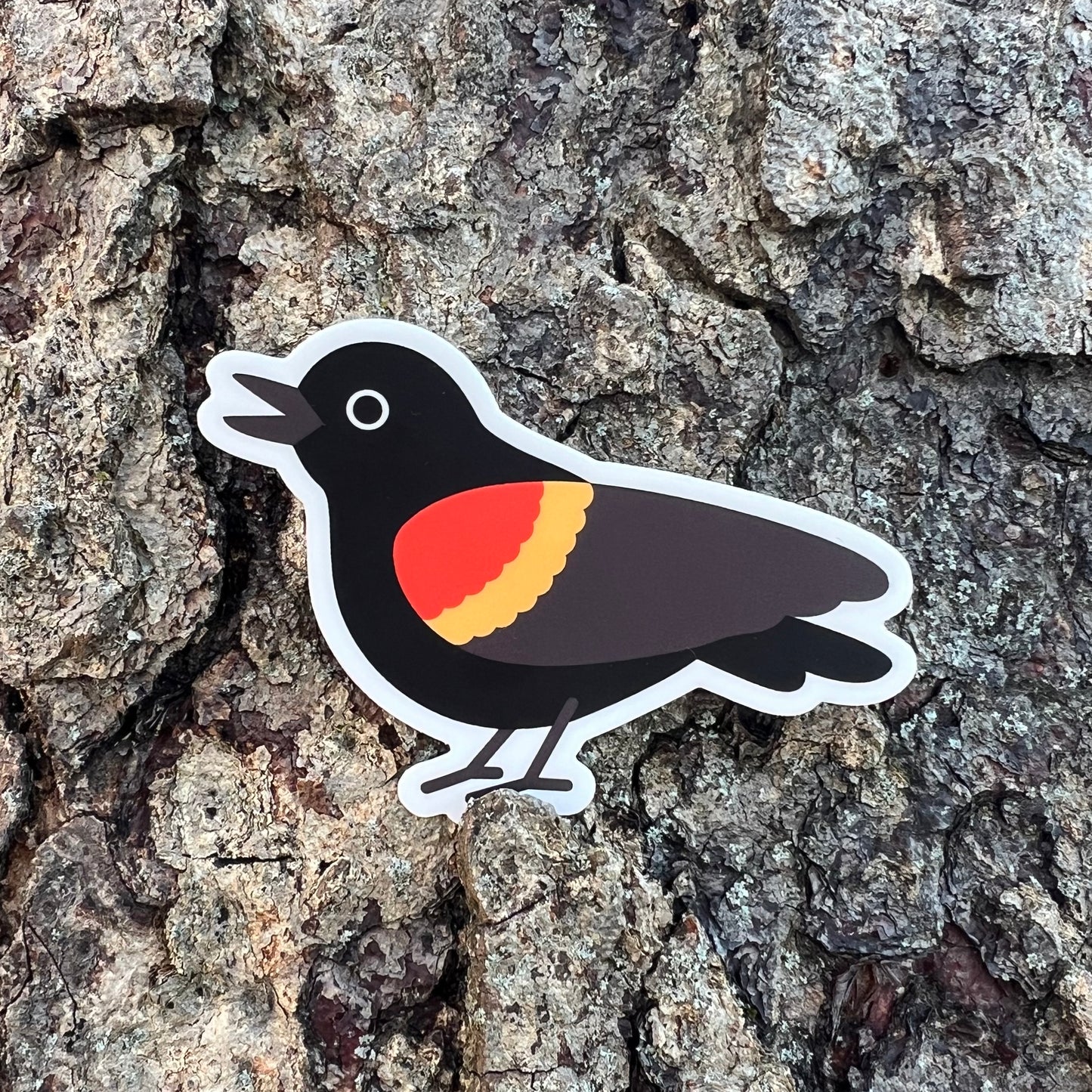 Red-winged Blackbird vinyl sticker (3 inch)