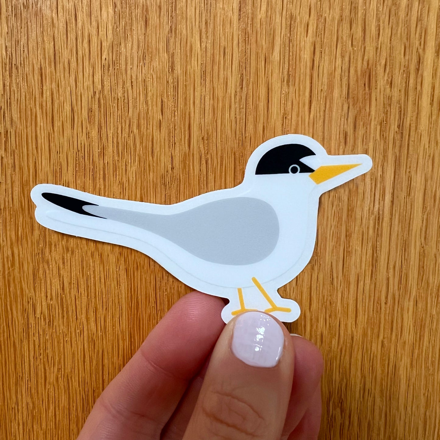 Least Tern Clear Vinyl Sticker (3.5 inches)