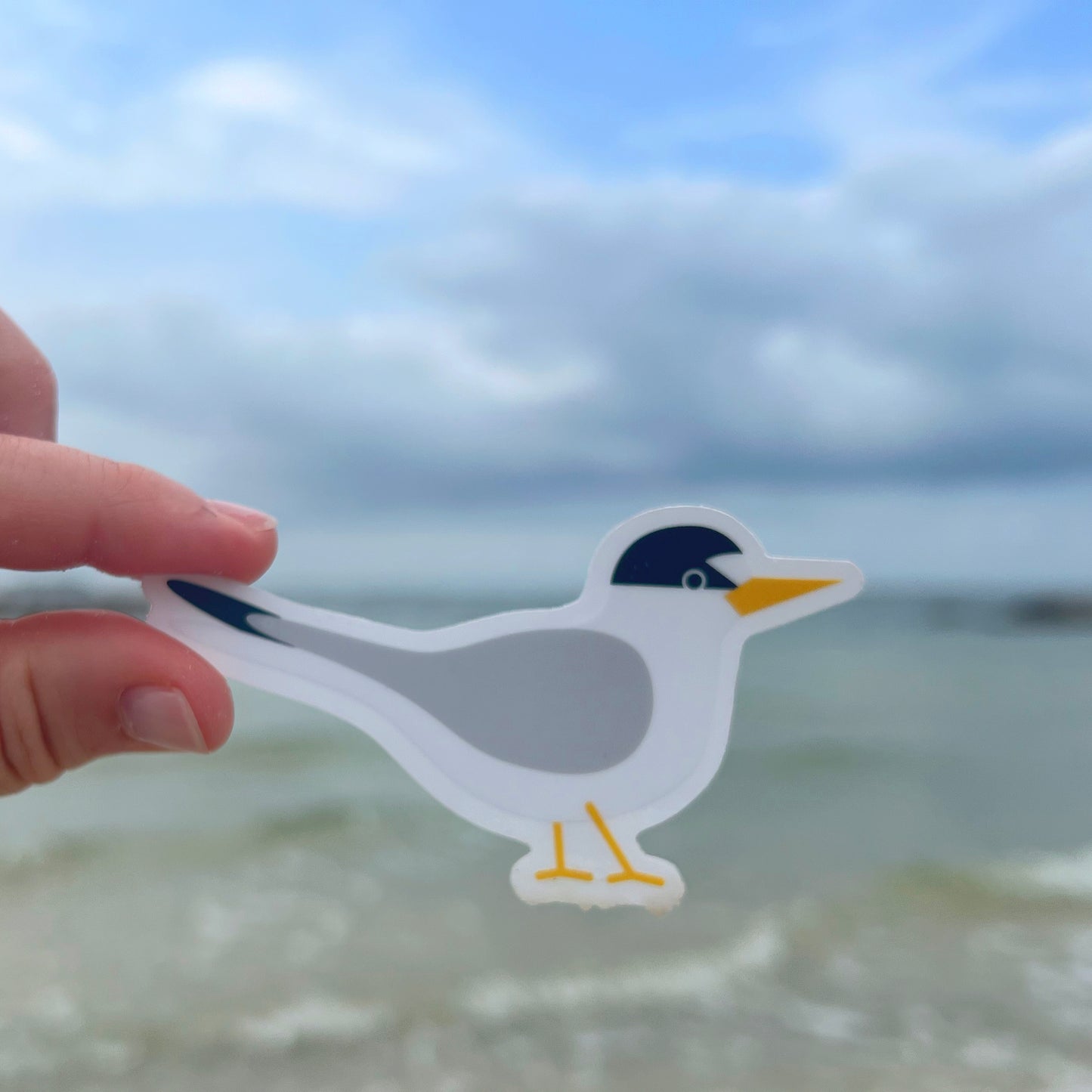 Least Tern Clear Vinyl Sticker (3.5 inches)