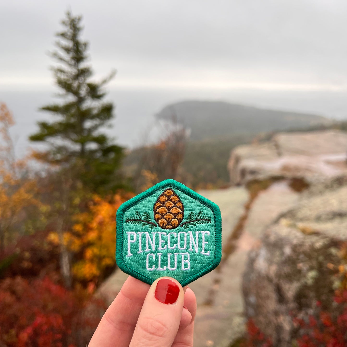 Pinecone Club iron-on patch with optional membership kit