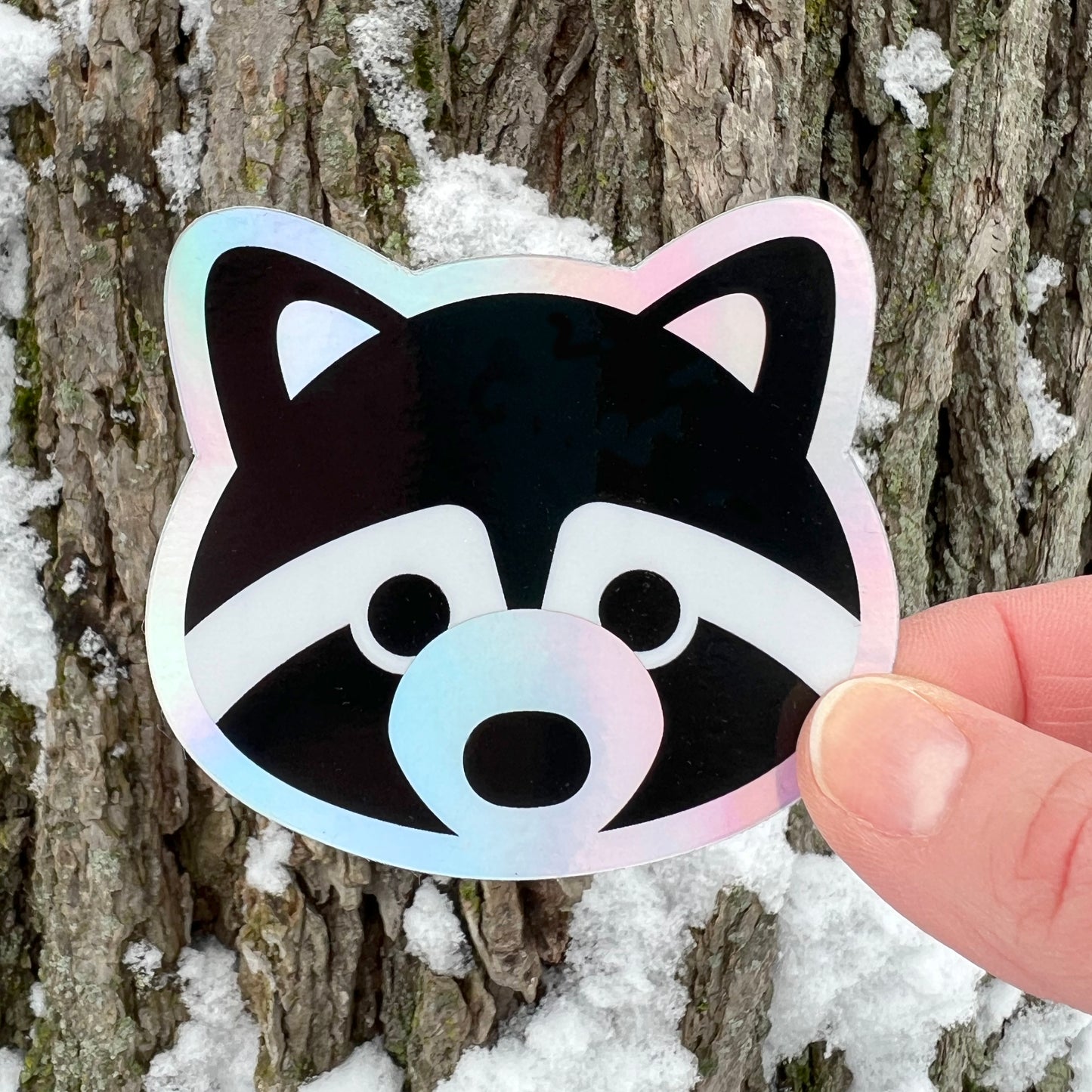 Raccoon Holographic Sticker