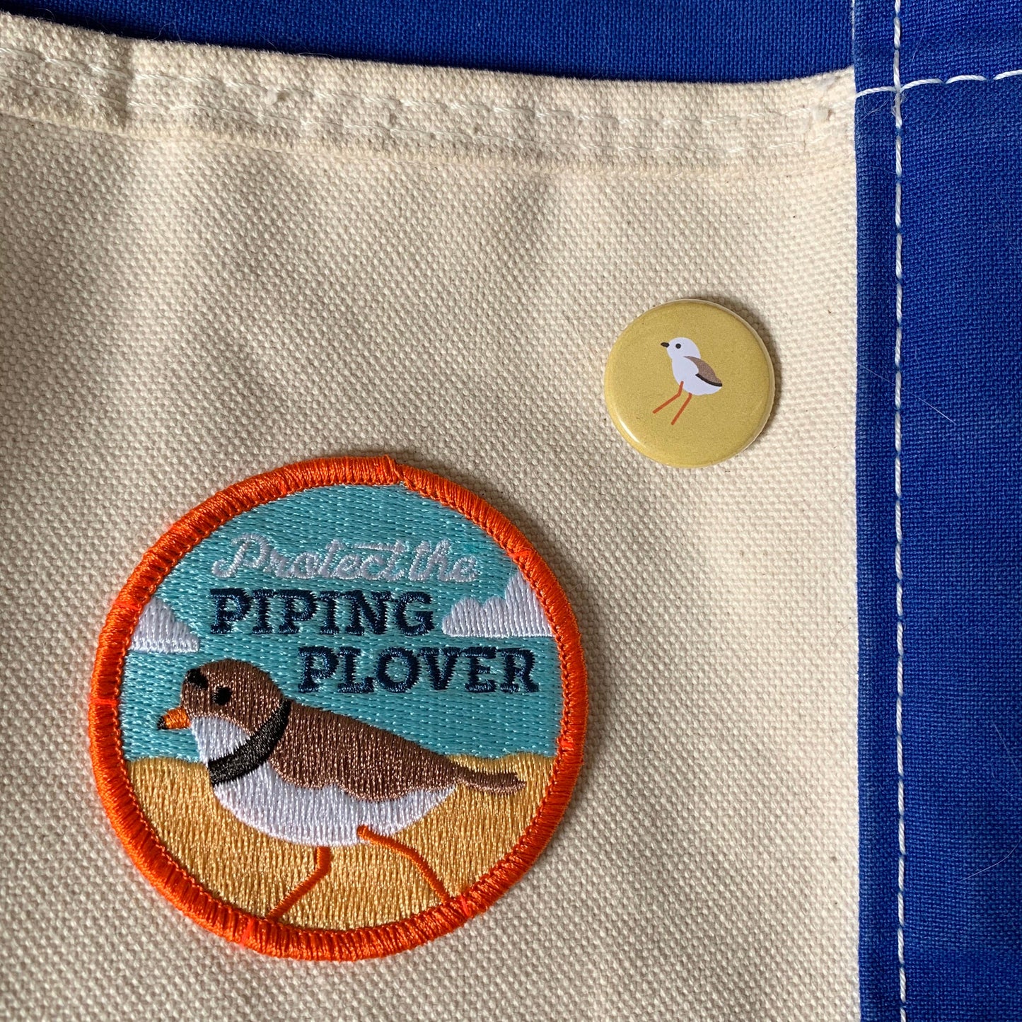 Piping Plover 1-inch button set