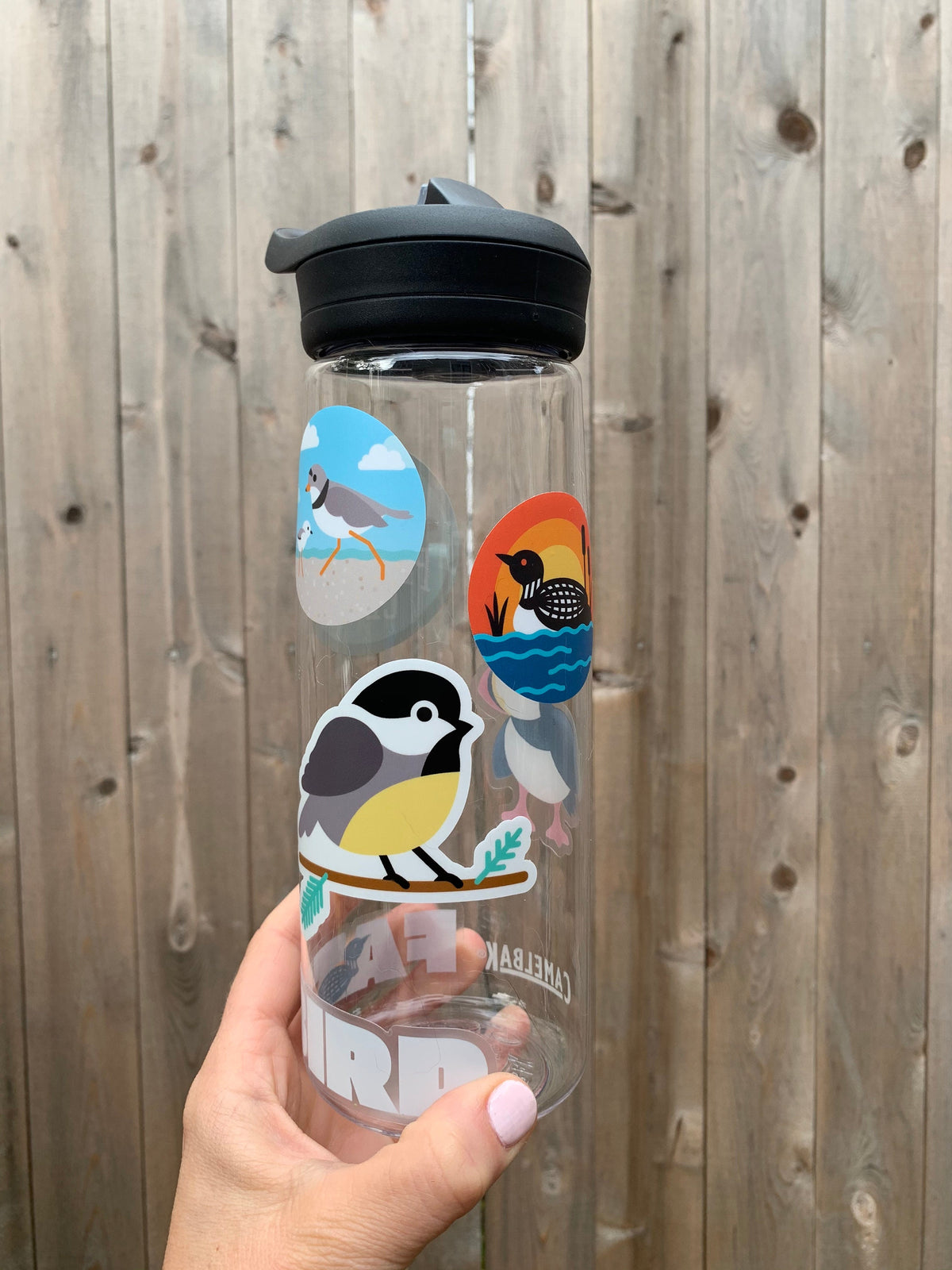 Chickadee Sticker Chickadee vinyl sticker (3 inch) – FATBIRD