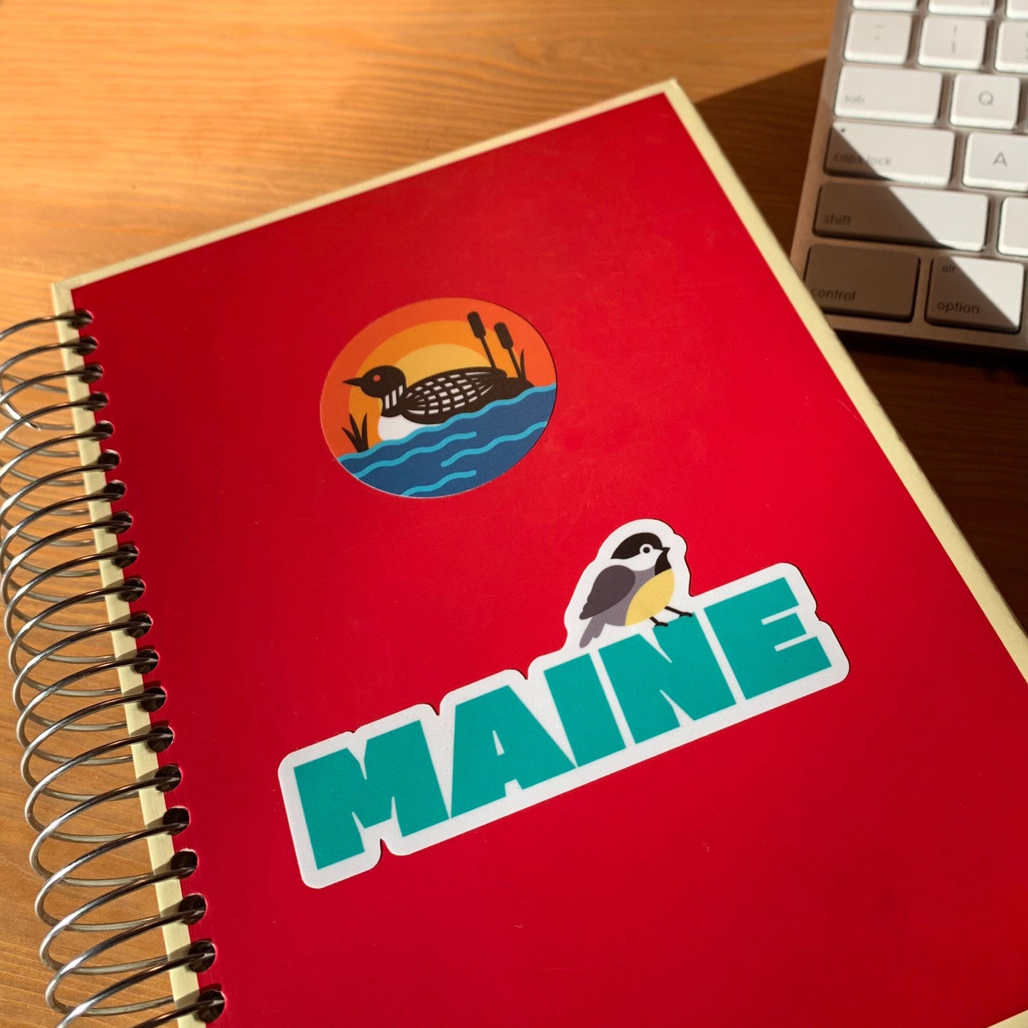 Maine Chickadee State Bird vinyl sticker