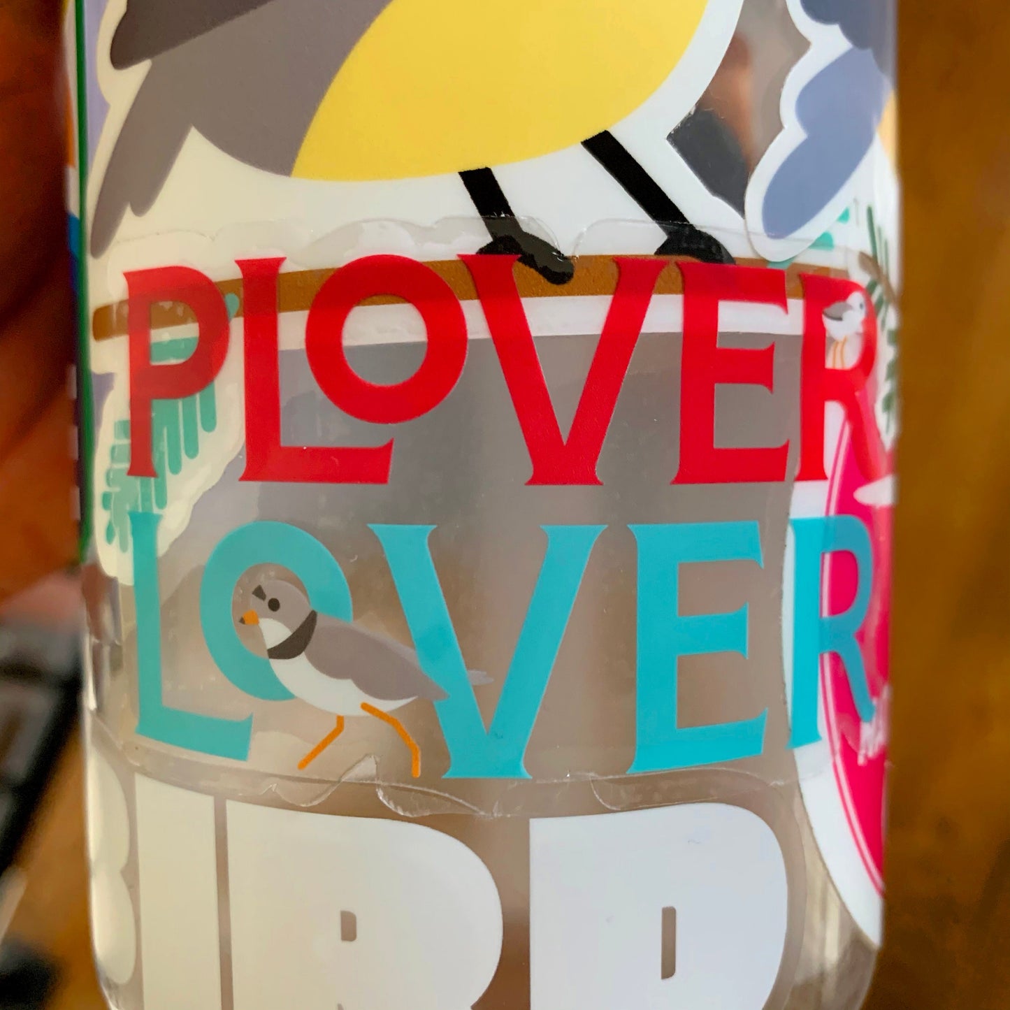 Plover Lover: Piping Plover sticker (3 inch)