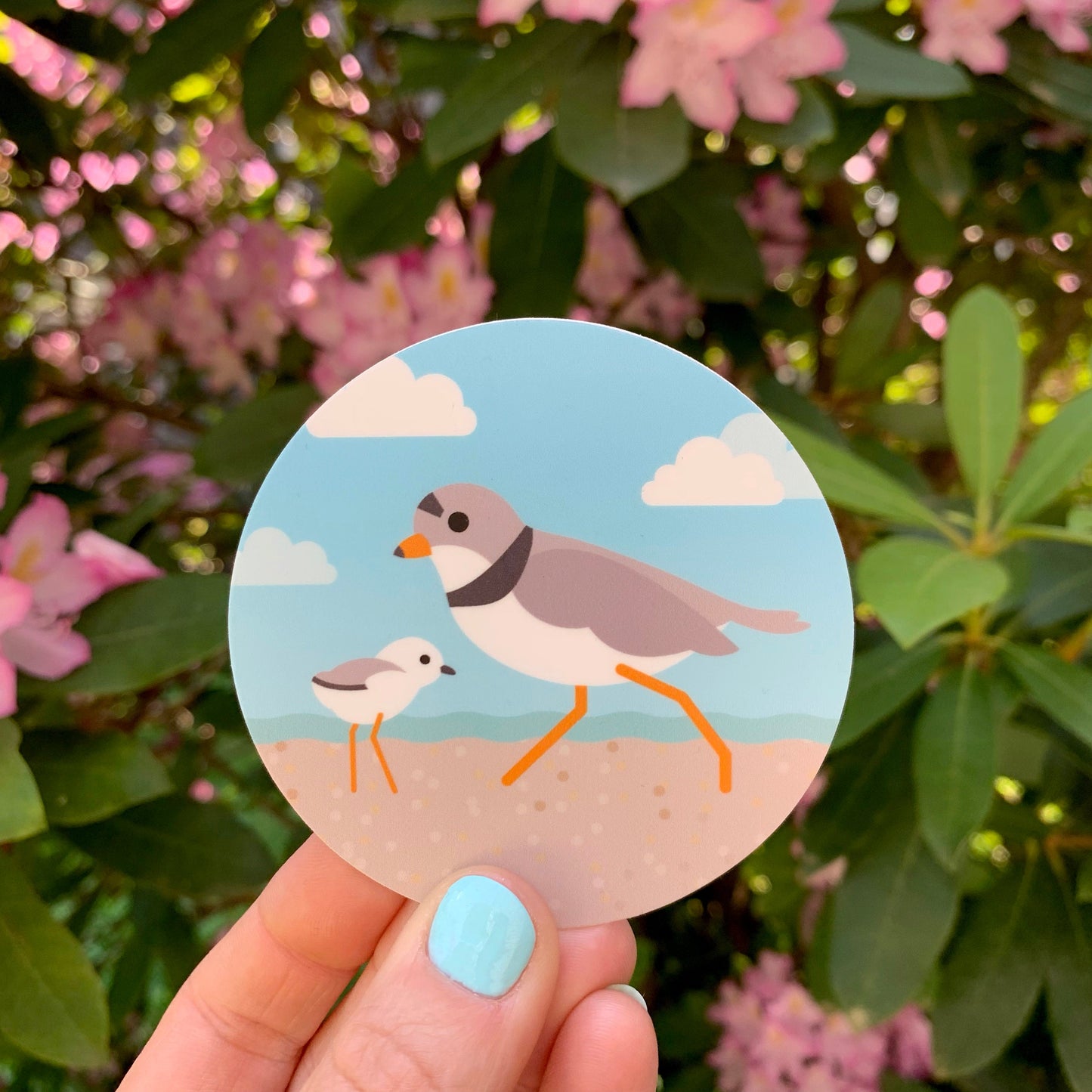 Piping Plover and Chick 2.5-inch sticker