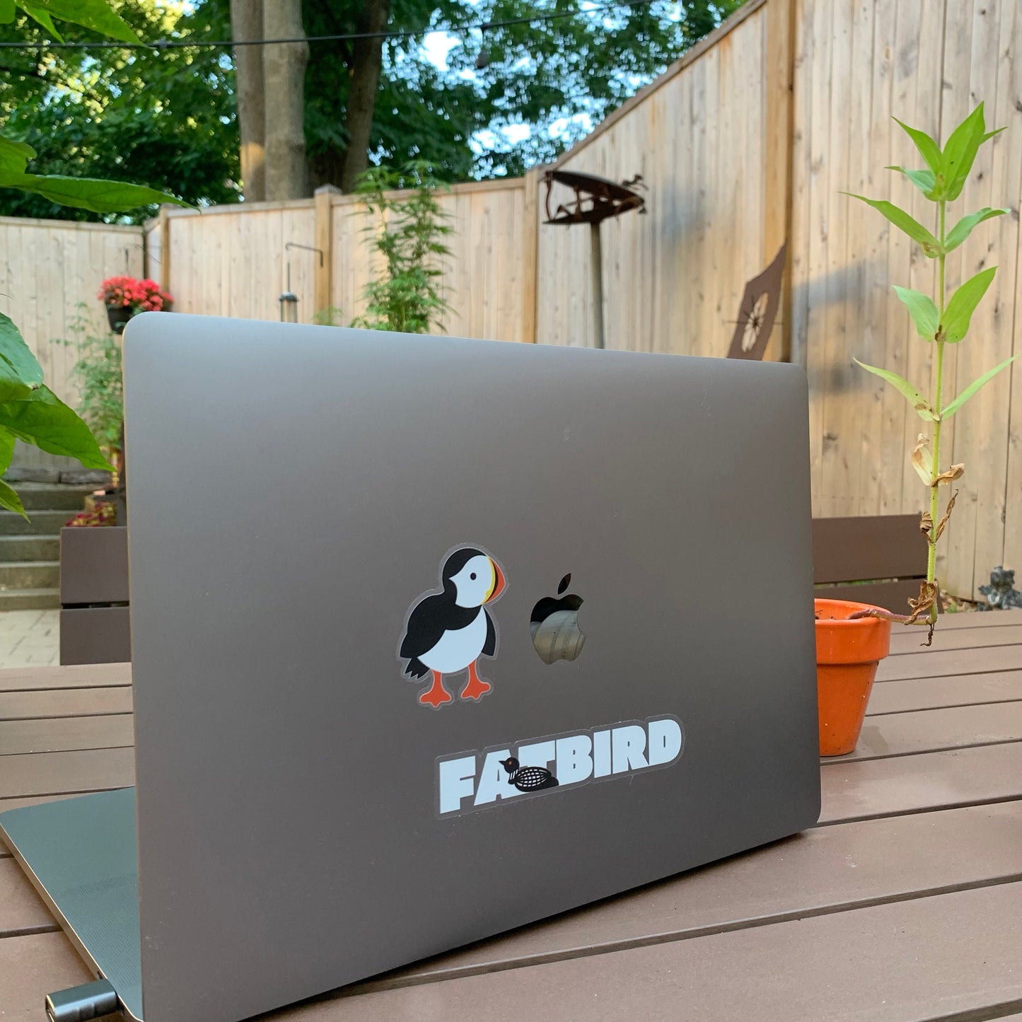 Puffin sticker - clear vinyl