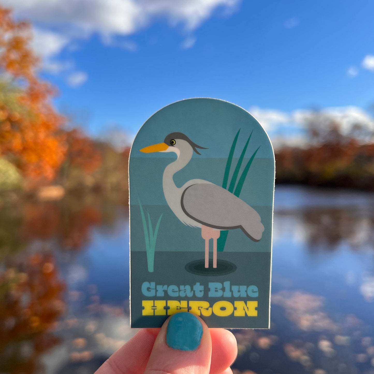 Great Blue Heron Vinyl Sticker (2x3.25 inch)