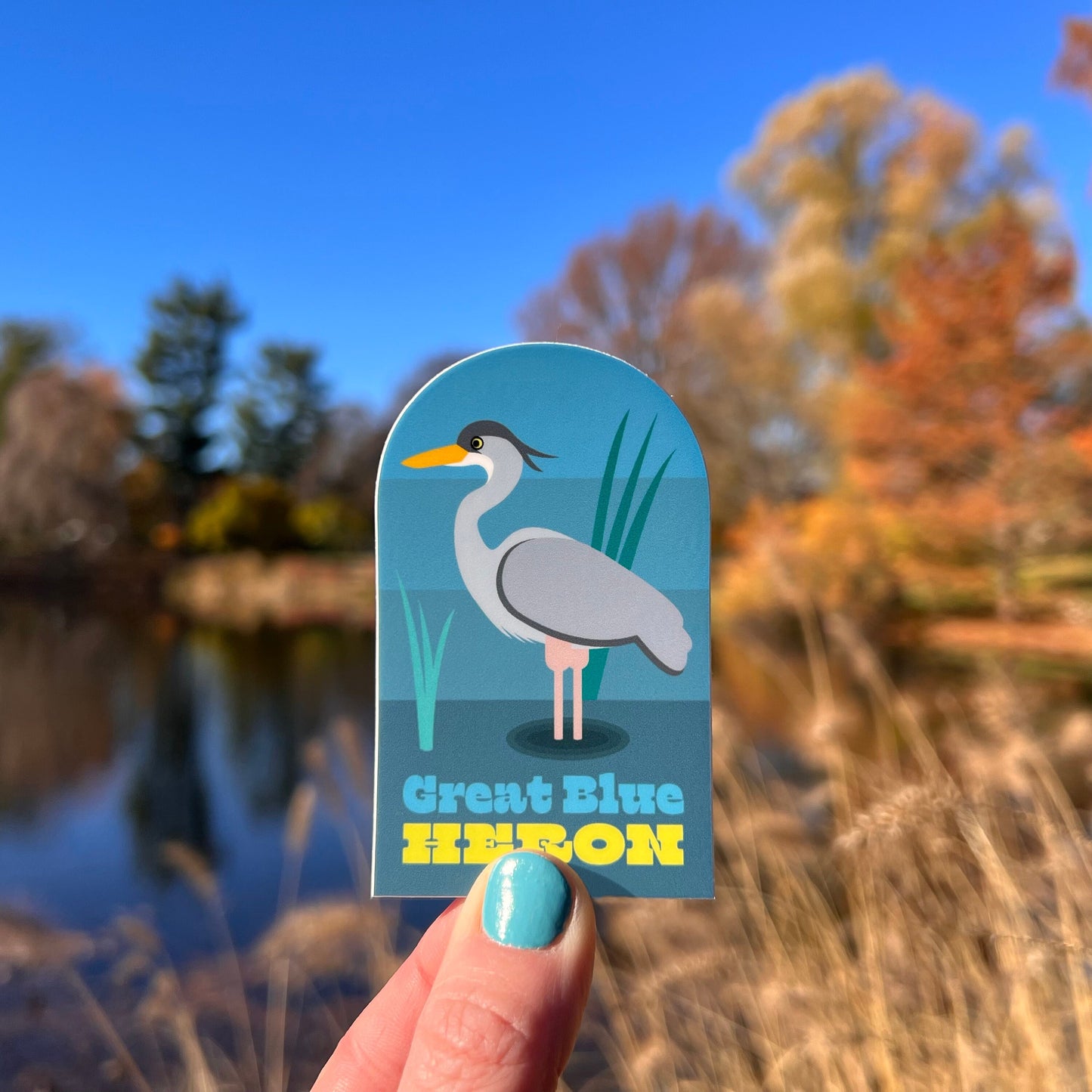 Great Blue Heron Vinyl Sticker (2x3.25 inch)