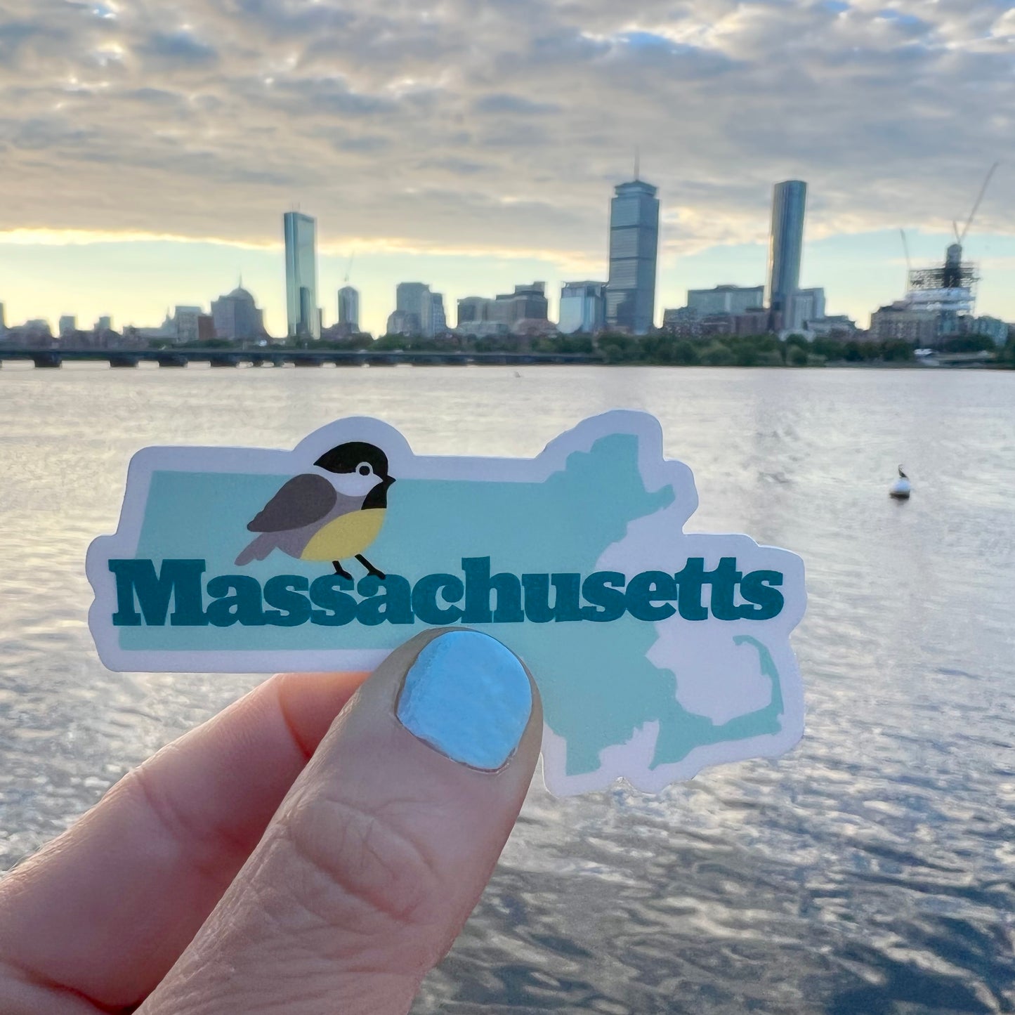 Massachusetts Chickadee State Bird vinyl sticker