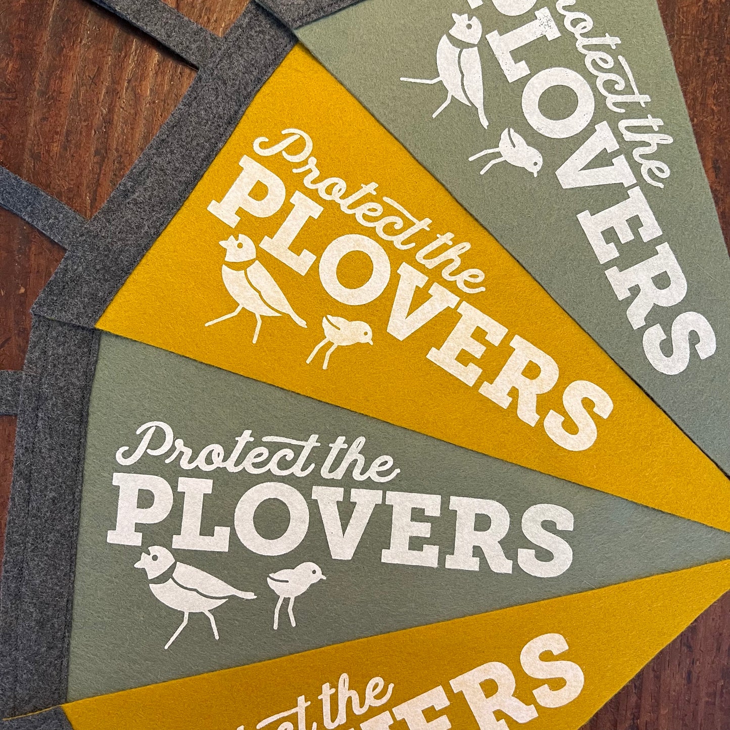 Protect the Plovers Felt Pennant - 6x12 inches